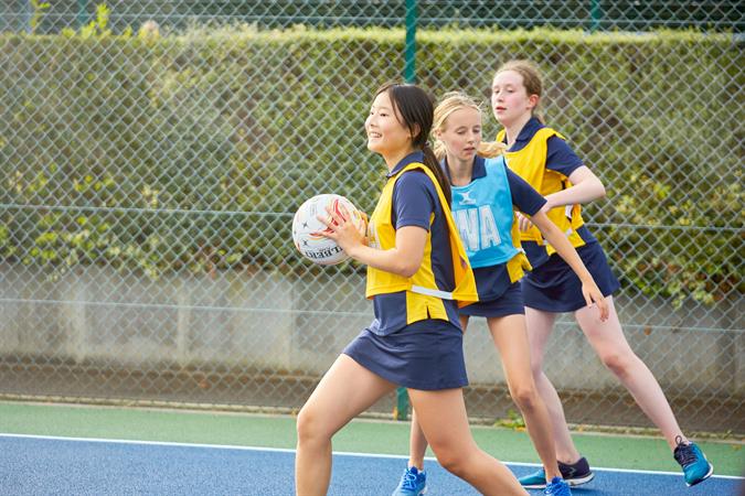 Normal photo 320606